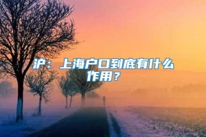 沪：上海户口到底有什么作用？