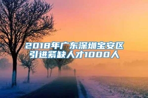 2018年广东深圳宝安区引进紧缺人才1000人