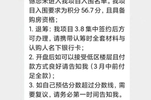 上海首个积分摇号盘分数线56.7分，包含哪些信息