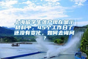 上海留学生落户现在显示材料中，45个工作日了还没有变化，如何去询问？