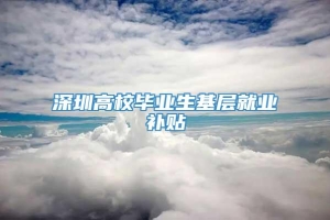 深圳高校毕业生基层就业补贴