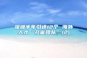 深圳半年引进12个 海外人才“孔雀团队”(2)
