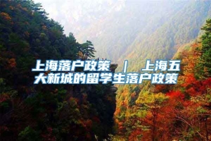 上海落户政策 ｜ 上海五大新城的留学生落户政策