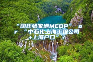 “陶氏张家港MEDP” or “中石化上海工程公司+上海户口”？