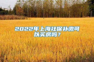 2022年上海社保补缴可以买房吗？