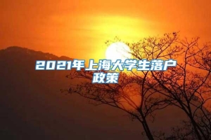 2021年上海大学生落户政策
