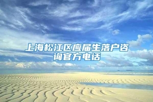 上海松江区应届生落户咨询官方电话