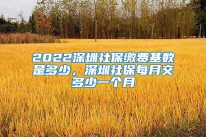 2022深圳社保缴费基数是多少，深圳社保每月交多少一个月