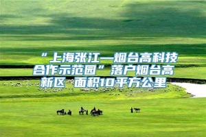 “上海张江—烟台高科技合作示范园”落户烟台高新区 面积10平方公里