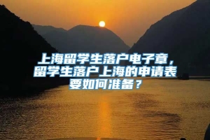 上海留学生落户电子章，留学生落户上海的申请表要如何准备？