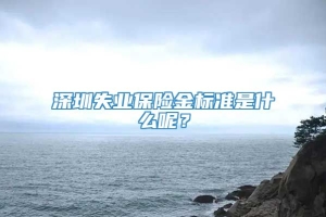 深圳失业保险金标准是什么呢？