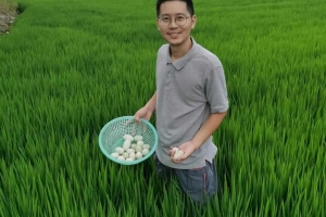 在上海种稻又养鸭，“80后”海归务农展身手