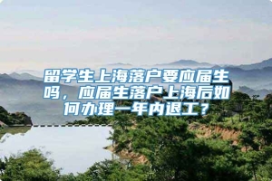 留学生上海落户要应届生吗，应届生落户上海后如何办理一年内退工？