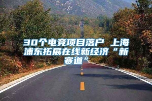 30个电竞项目落户 上海浦东拓展在线新经济“新赛道”
