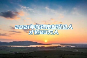 2021年深圳市新引进人才近23万人