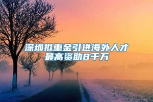 深圳拟重金引进海外人才最高资助8千万
