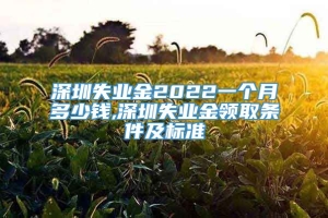 深圳失业金2022一个月多少钱,深圳失业金领取条件及标准