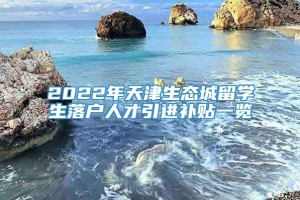 2022年天津生态城留学生落户人才引进补贴一览