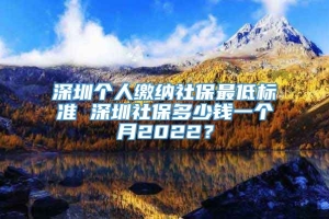 深圳个人缴纳社保最低标准 深圳社保多少钱一个月2022？