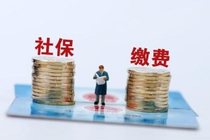 深圳个人交社保，一个月要多少钱？