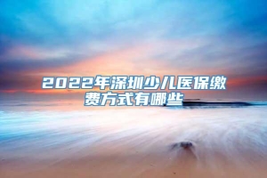 2022年深圳少儿医保缴费方式有哪些