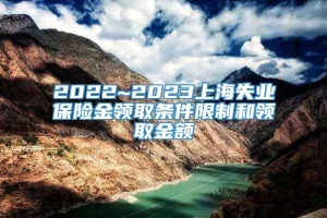 2022~2023上海失业保险金领取条件限制和领取金额