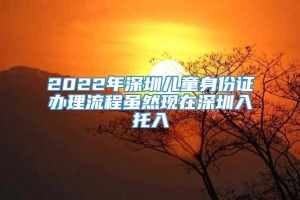 2022年深圳儿童身份证办理流程虽然现在深圳入托入