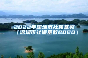 2022年深圳市社保基数（深圳市社保基数2020）