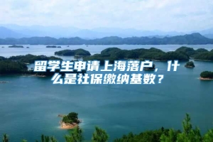 留学生申请上海落户，什么是社保缴纳基数？