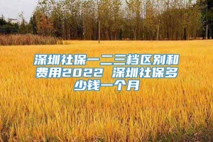 深圳社保一二三档区别和费用2022 深圳社保多少钱一个月