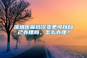 深圳医保档次变更可以自己办理吗，怎么办理？