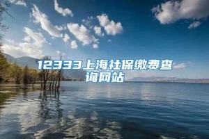 12333上海社保缴费查询网站