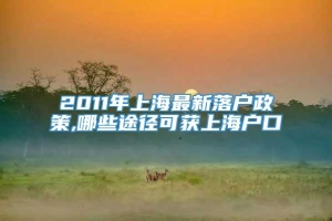 2011年上海最新落户政策,哪些途径可获上海户口