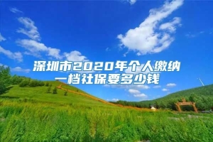 深圳市2020年个人缴纳一档社保要多少钱