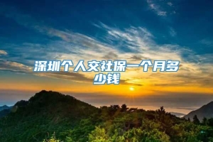 深圳个人交社保一个月多少钱