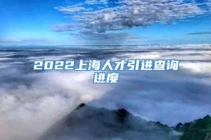 2022上海人才引进查询进度
