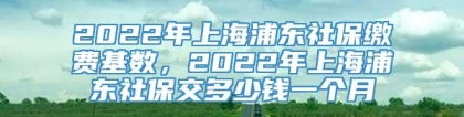 2022年上海浦东社保缴费基数，2022年上海浦东社保交多少钱一个月