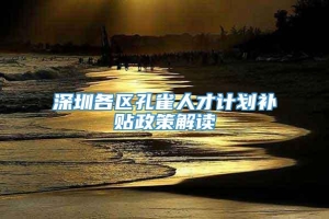 深圳各区孔雀人才计划补贴政策解读