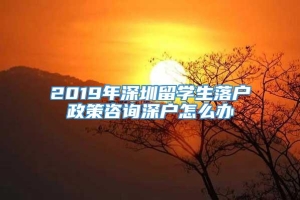 2019年深圳留学生落户政策咨询深户怎么办