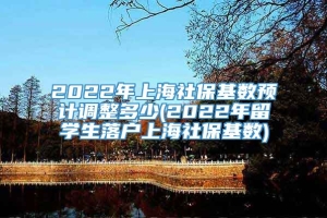 2022年上海社保基数预计调整多少(2022年留学生落户上海社保基数)