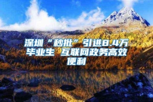 深圳“秒批”引进8.4万毕业生 互联网政务高效便利