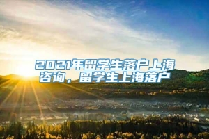 2021年留学生落户上海咨询，留学生上海落户