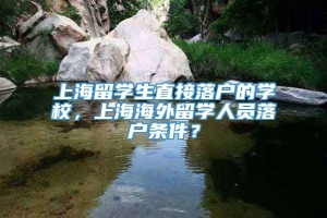 上海留学生直接落户的学校，上海海外留学人员落户条件？