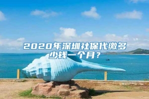 2020年深圳社保代缴多少钱一个月？