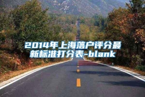 2014年上海落户评分最新标准打分表-blank
