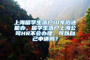 上海留学生落户10年后还能办，留学生落户上海公司HR不会办理，可以自己申请吗？