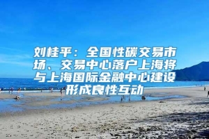 刘桂平：全国性碳交易市场、交易中心落户上海将与上海国际金融中心建设形成良性互动