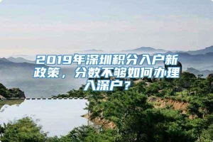 2019年深圳积分入户新政策，分数不够如何办理入深户？