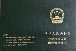 上海这个证书可积分落户！中级经济师专业技术人员职业资格证书。