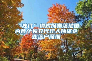 “独代”模式探索落地国内首个独立代理人独资企业落户深圳